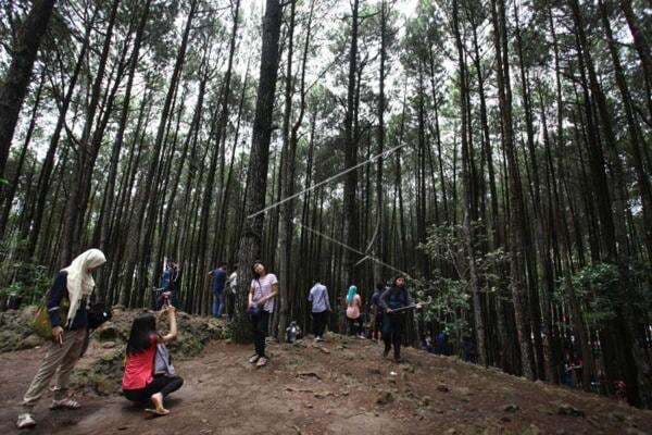 Curam, Bus Pariwisata Diimbau Tak Lalui Jalur Cinomati di Bantul