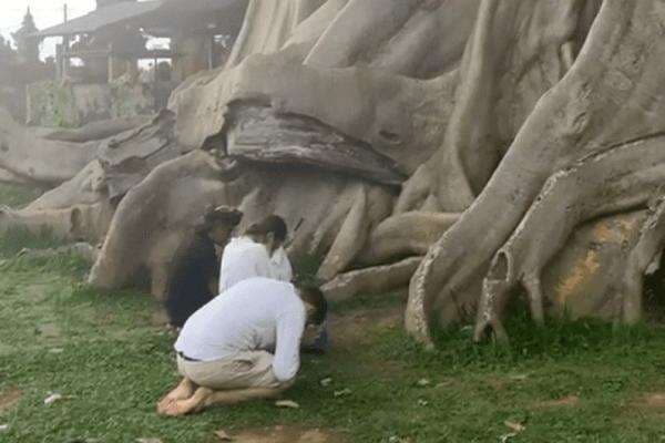 Viral Bugil di Pura Babakan Tabanan Bali, Cewek Bule Minta Maaf