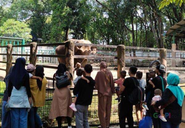 3 Hari Lebaran, Pengunjung Taman Margasatwa Ragunan Capai 89 Ribu