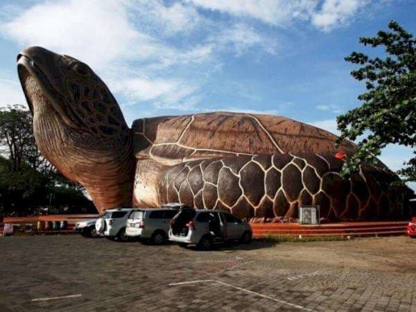 Ada Kura-Kura Raksasa ‘Terdampar’ di Jepara, Isinya Menakjubkan!