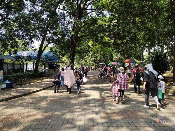 Wisata di Pusat Primata Schmutzer Ragunan, Tiketnya Murah Banget!