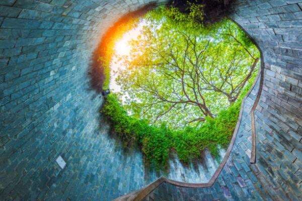 Fort Canning Park, Spot Foto Paling Keren di Singapura