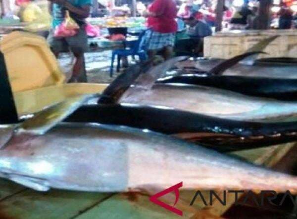 Tips Sederhana Hilangkan Bau Amis pada Ikan