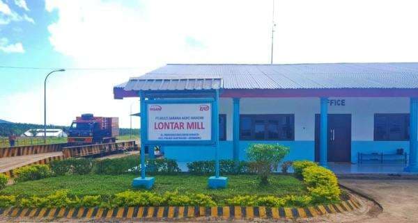 PKS MSAM Lontar Mill Kotabaru Pastikan Tetap Terima Buah Sawit Petani