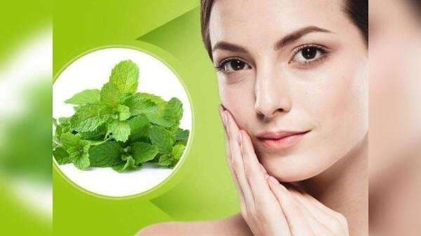 5 Manfaat Daun Mint untuk Kecantikan Kulit, Bikin Kinclong!