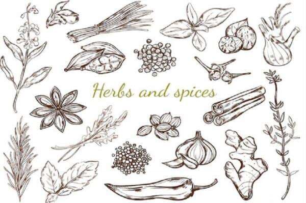 IGIS 2022 Ajak Masyarakat Promosikan Indikasi Geografis Indonesia Melalui Jurnal Kuliner