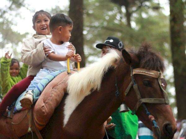 Mirip di Puncak, Bogor! Di Sini Anak-anak Bisa Jadi ‘Cowboy Junior’