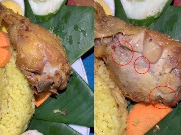 Duh! Calon Pengantin Dapati Belatung dalam Ayam Goreng yang Mau Dimakan, Kok Tega? Duh! Calon Pengantin Dapati Belatung dalam Ayam Goreng yang Mau Dimakan, Kok Tega?