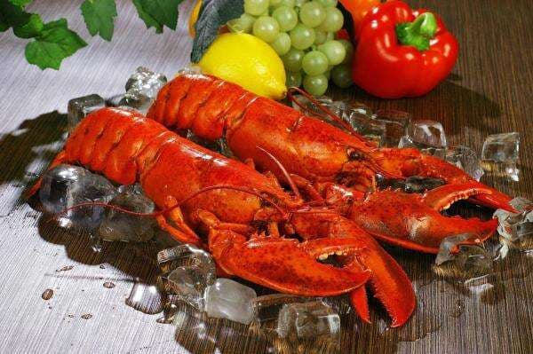 7 Manfaat Lobster Bagi Kesehatan Tubuh