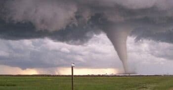 5 Daftar Angin Puting Beliung Terparah di Indonesia, Terbangkan Atap hingga Pohon Tumbang