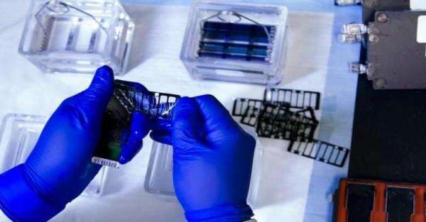 Contoh Bioteknologi Modern Dalam Kehidupan Sehari-hari Contoh Bioteknologi Modern Dalam Kehidupan Sehari-hari