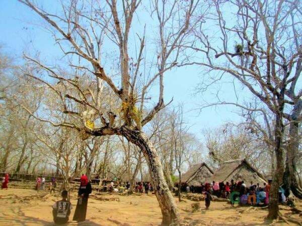 Wali Nyatok, Penyebar Islam yang Dimakamkan di Desa Rembitan Wali Nyatok, Penyebar Islam yang Dimakamkan di Desa Rembitan