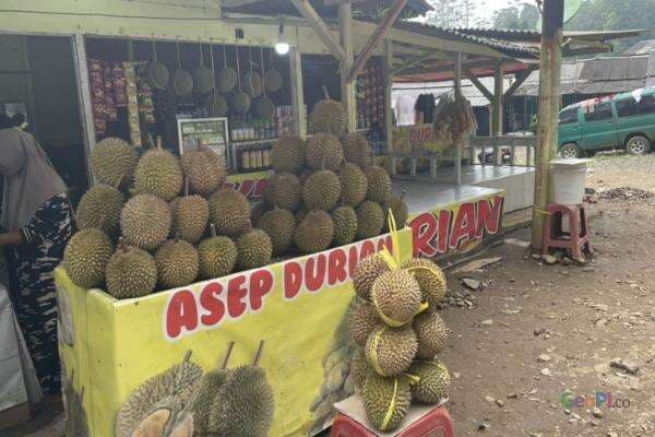 Pusat Durian Enak di Bandung, Ayo Segera ke Sana Pusat Durian Enak di Bandung, Ayo Segera ke Sana