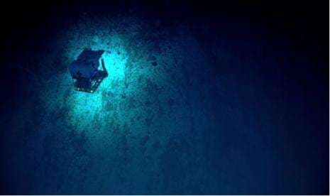 Fakta Unik Palung Mariana, Bagian Terdalam dari Lautan Bumi