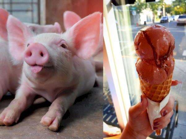 3 Kudapan Ekstrem yang Terbuat dari Darah, Salah Satunya Es Krim Darah Babi, Berani Coba?