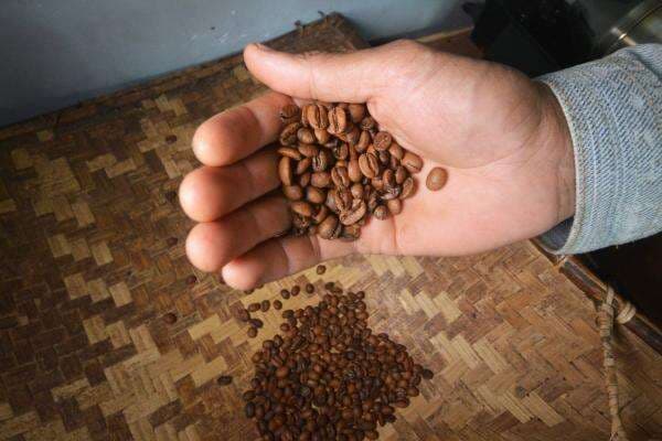 10 Negara Penghasil Kopi Terbesar di Dunia, Indonesia Salah Satunya