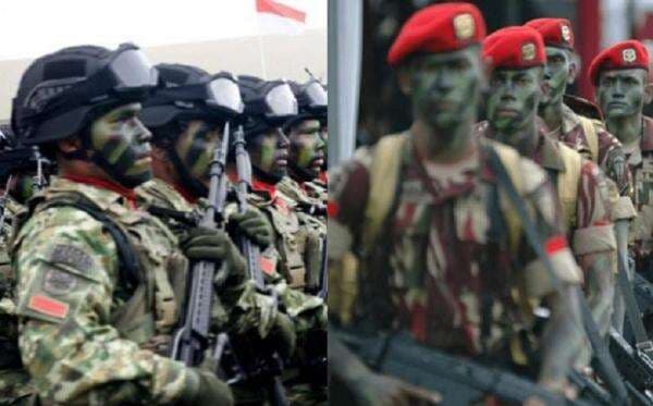 Perbedaan Kostrad dan Kopassus dari Tugas hingga Kemampuan