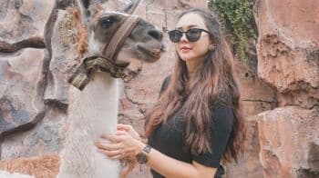 Aura Kasih Main Bareng Llama Pakai Rok Mini Pamerkan Paha Mulus