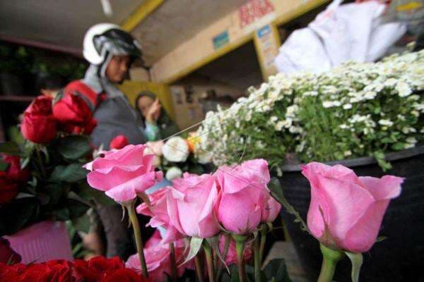 Menjajal Berwisata Belanja di Pasar Bunga Kotabaru Yogyakarta Menjajal Berwisata Belanja di Pasar Bunga Kotabaru Yogyakarta