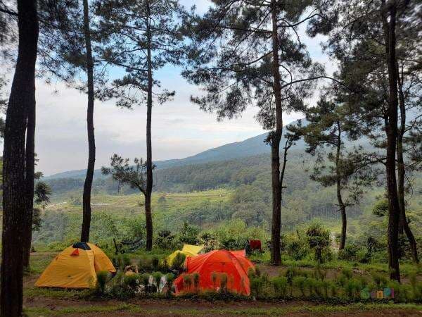 Bukit Si Kabayan, Spot Kamping Kece di Halimun Salak, Syahdu