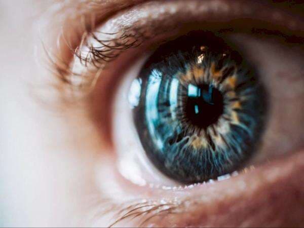 Mengenal Buta Warna Parsial, Gangguan Penglihatan yang Bikin Calon Bintara Gagal Seleksi