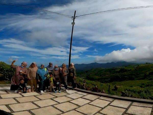Bangga! Teh Langka dan Terbaik di Dunia Ternyata Ada di Sulawesi