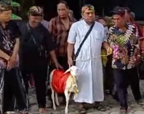Video Pria Menikah dengan Kambing Gegerkan Warga Gresik, Pelaku Minta Maaf