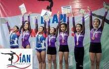 Dian Gymnastics, Dedikasi dari Atlet Senam Indonesia Era 1980-an