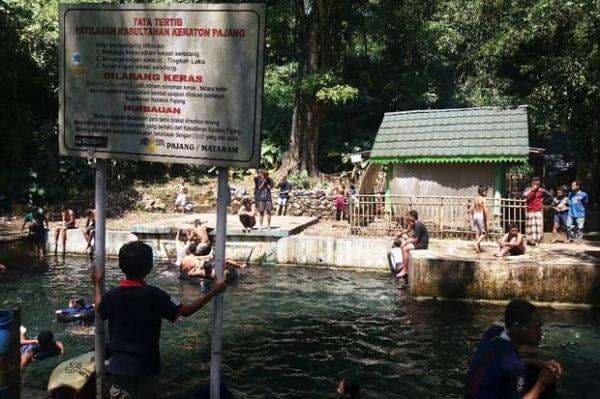 Kisah Jaka Tingkir Menaklukan Puluhan Buaya saat Menuju Demak