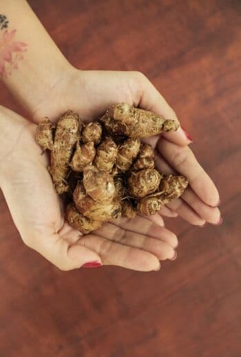 Bukan Sekadar Minuman, Jamu Merupakan Tradisi Warisan Budaya dan Bagian dari Gaya Hidup