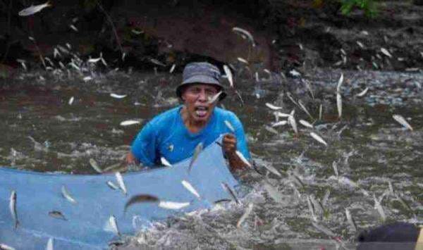 Menjaga Sumber Daya Laut di Maluku dengan Budaya Sasi