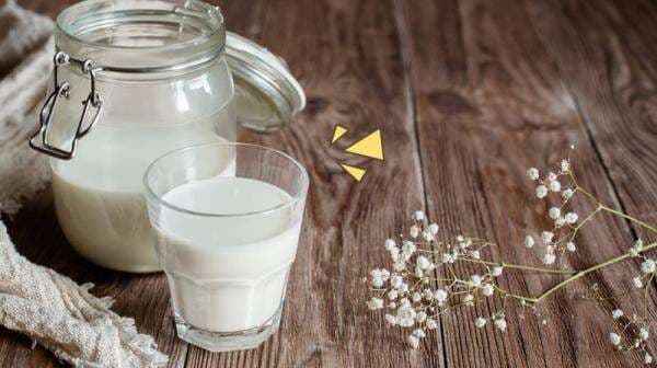 Manfaat Susu Kuda Liar yang Perlu Diketahui