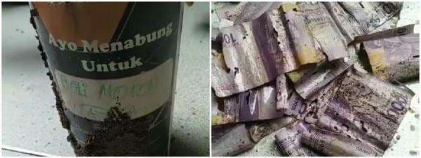 Bongkar celengan beli motor, cewek ini syok uangnya di makan rayap