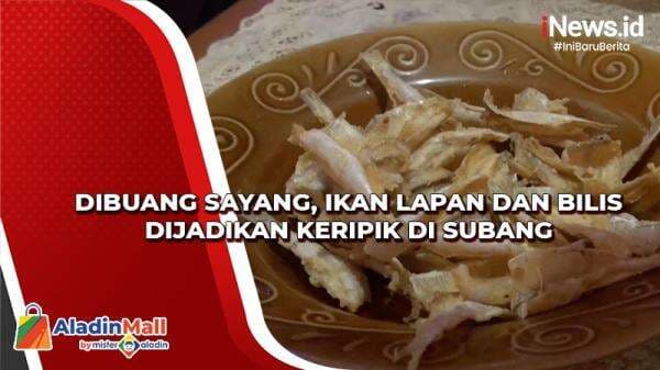 Dibuang Sayang, Ikan Lapan dan Bilis Dijadikan Keripik di Subang