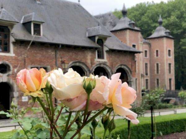 Berkunjung ke Taman Mawar Terindah di Dunia, Bagai Masuk ke Negeri Dongeng!