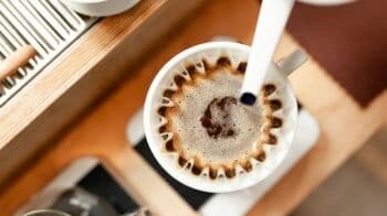 Varian Eugenioides Siap Mendunia, Kopi Unik dan Langka Induk dari Arabika