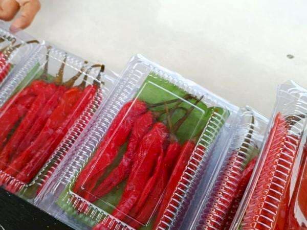 Tak Sepedas Harganya, Rasa Manisan Cabai Justru Bikin Orang Penasaran! Gimana?