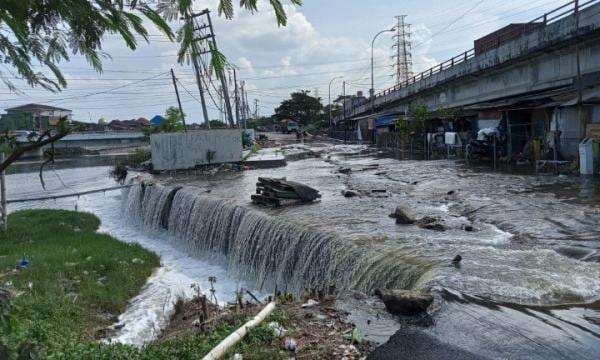 Banjir Rob Kembali Terjang Pesisir Semarang, 2 Kampung Terendam