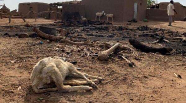 Pembantaian Paling Mengerikan di Afrika, Ada Korban yang Dibakar Hidup-Hidup