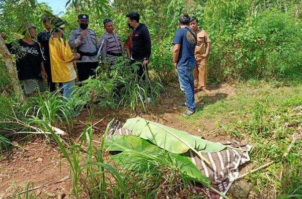 Pamit ke Ladang, Nenek di Gunungkidul Ditemukan Tewas dengan Pipi dan Dagu Berdarah
