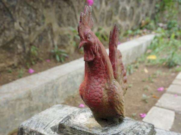 Nyentrik! Di Permakaman Manusia Ini Ada Makam dengan Nisan Babi dan Ayam, Punya Siapa? Nyentrik! Di Permakaman Manusia Ini Ada Makam dengan Nisan Babi dan Ayam, Punya Siapa?