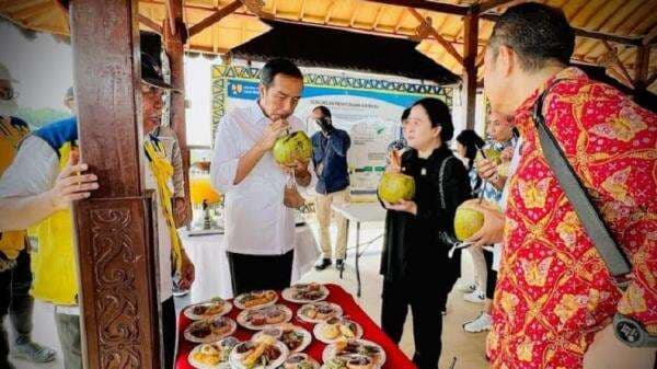 Tinjau Bendungan Sepaku, Jokowi Seruput Es Kelapa Muda Bersama Puan dan Para Menteri