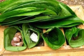 Mengenal Tradisi Nginang yang Hampir Punah di Indonesia