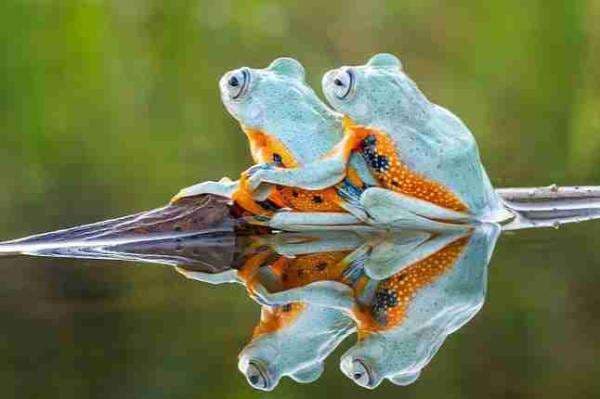 Malam Jumat, Coba Posisi Leapfrog Sex yang Menyenangkan!