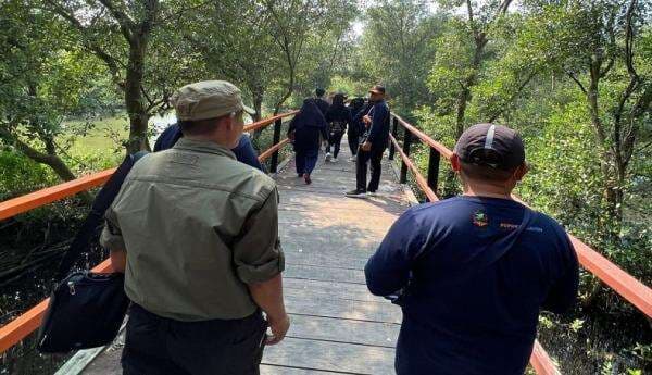 Hutan Mangrove Karangsong Indramayu Miliki Daya Tarik Tinggi, Jadi Wisata Edukasi