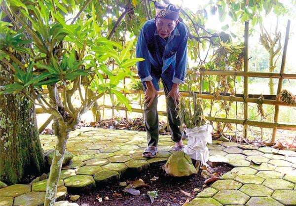 Ke Dusun Dukuh, Banyuwangi, yang Mirip Latar Cerita KKN di Desa Penari