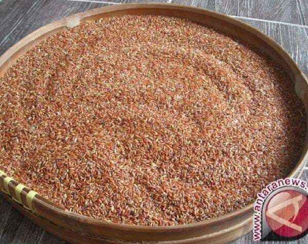 Berikut 5 Makanan Alami Penambah Stamina