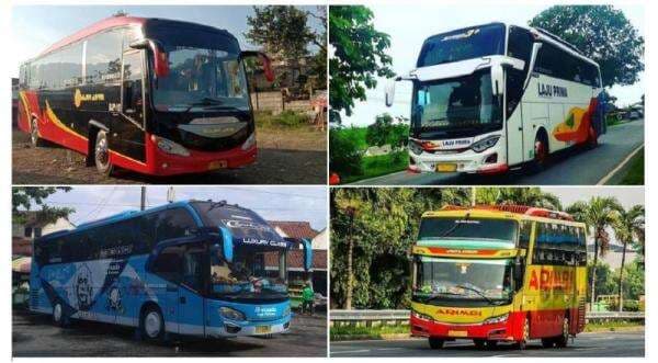 5 PO Bus Legendaris di Banten, Nomor 4 Berdiri Sejak 1969 hingga Punya Ratusan Bus