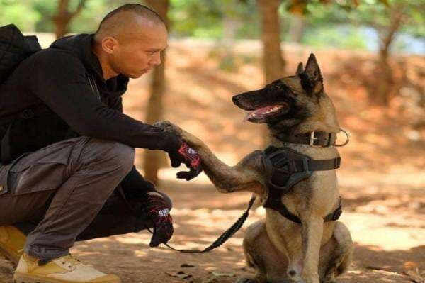 Viral! Bima Aryo Ubah Tulang-belulang Sparta Jadi Aquascape, Bertemakan Jurrasic Park