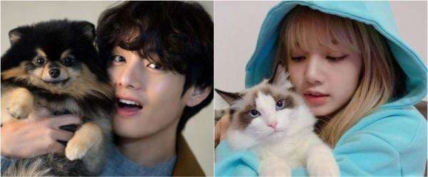 Cat person vs dog person, termasuk golongan kepribadian manakah kamu?